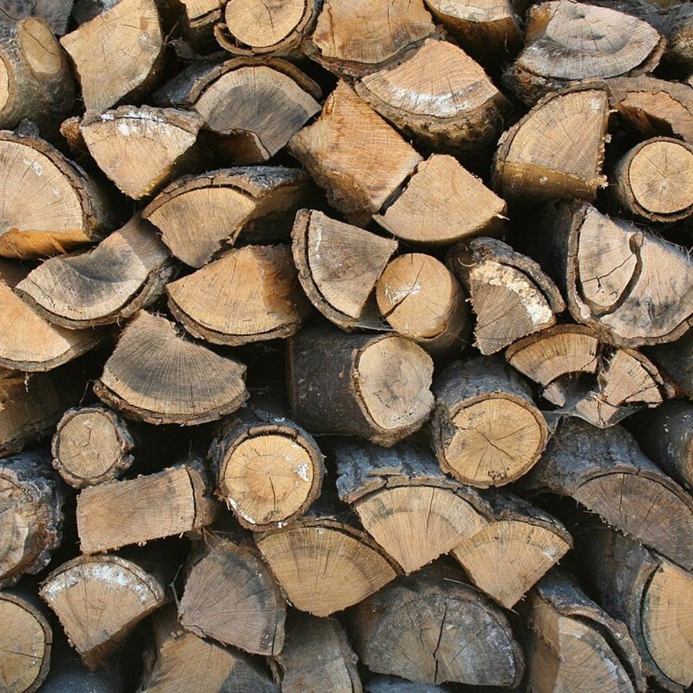 Bûches de bois sec empilées