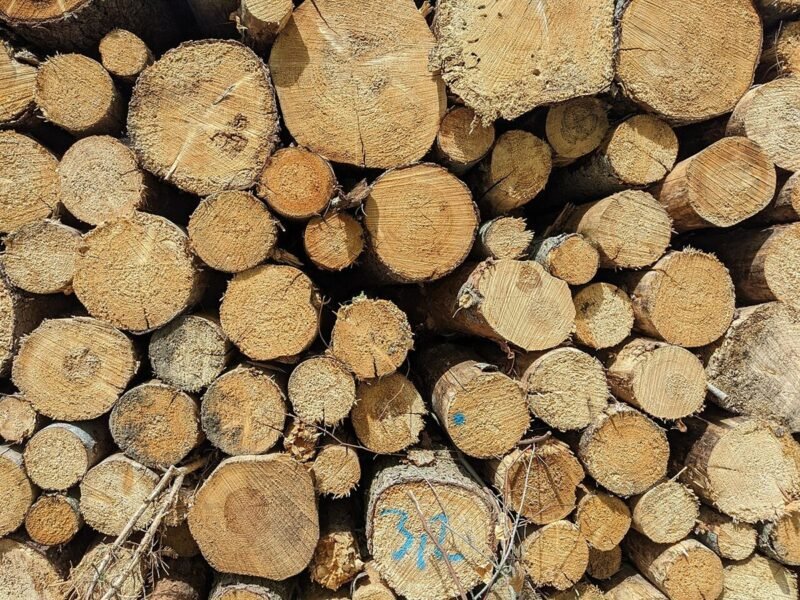 Grumes de bois